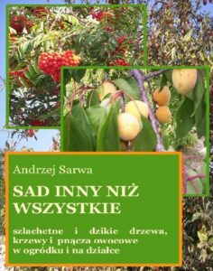 Okładka: Sad inny niż wszystkie