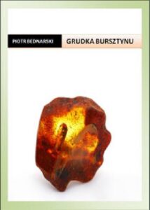 Okładka: Grudka bursztynu