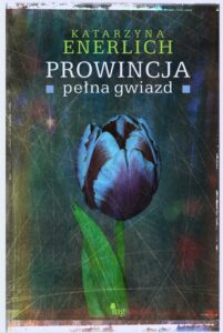 Okładka: Prowincja pełna gwiazd