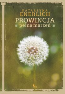 Okładka: Prowincja pełna marzeń