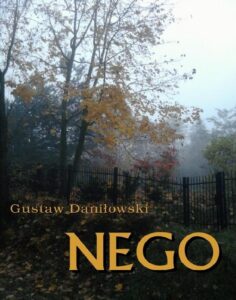 Okładka: Nego smutna historia o zniszczeniu dziecka przez szkołę