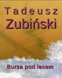 Okładka: Burza pod lasem