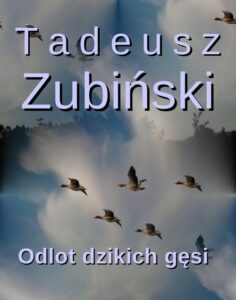 Okładka: Odlot dzikich gęsi