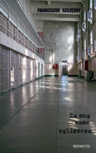 Okładka: Za mną same zgliszcza