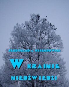 Okładka: W krainie niedźwiedzi