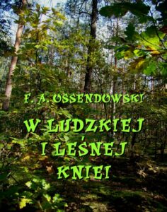 Okładka: W ludzkiej i leśnej kniei