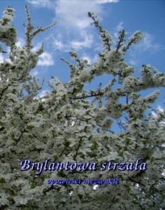 Okładka: Brylantowa strzała. Opowieści niezwykłe