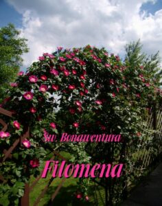 Okładka: Filomena
