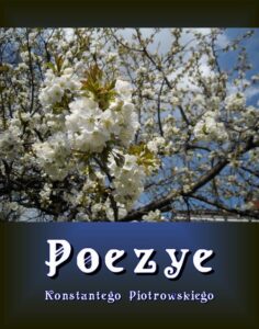 Okładka: Poezye
