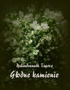 Okładka: Głodne kamienie