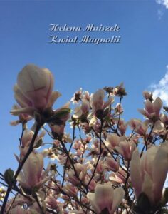Okładka: Kwiat magnolii