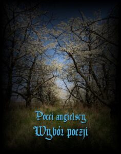 Okładka: Poeci angielscy