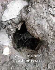 Okładka: Na dnie życia