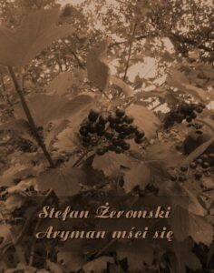 Okładka: Aryman mści się