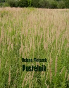 Okładka: Pustelnik