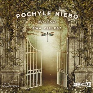 Okładka: Pochyłe niebo. Tom 3. Ważka
