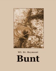 Okładka: Bunt