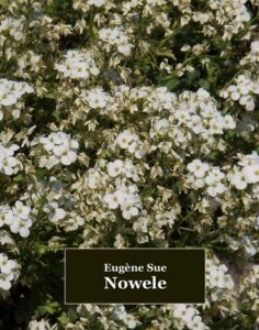 Okładka: Nowele