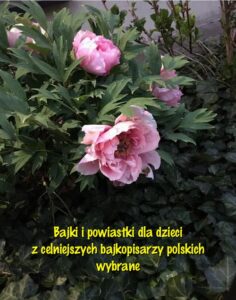 Okładka: Bajki i powiastki dla dzieci z celniejszych bajkopisarzy polskich wybrane