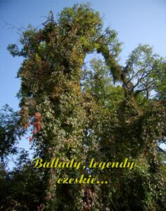 Okładka: Ballady, legendy czeskie...