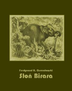 Okładka: Słoń Birara