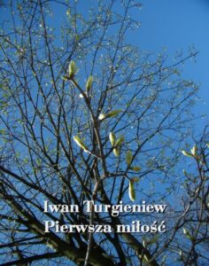 Okładka: Pierwsza miłość