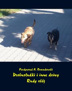Okładka: Drobnoludki i inne dziwy. Rudy zbój