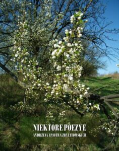 Okładka: Niektóre poezye Andrzeja i Piotra Zbylitowskich