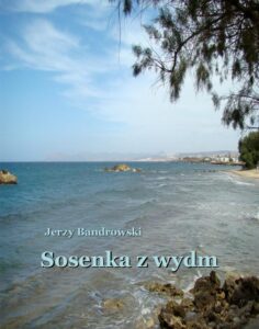 Okładka: Sosenka z wydm
