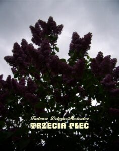 Okładka: Trzecia płeć