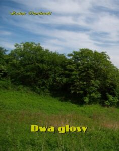 Okładka: Dwa głosy