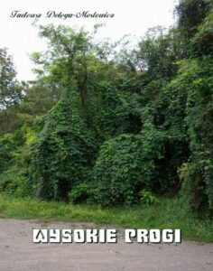 Okładka: Wysokie Progi