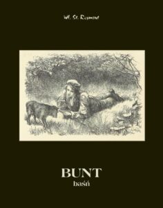 Okładka: Bunt. Baśń