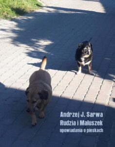 Okładka: Rudzia i Maluszek. Opowiadania o pieskach