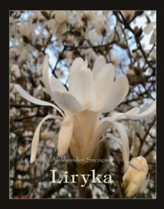 Okładka: Liryka