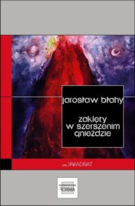Okładka: Zaklęty w szerszenim gnieździe