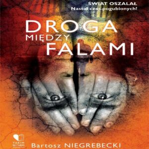 Okładka: Droga między falami