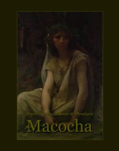 Okładka: Macocha