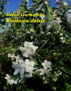 Okładka: Wacława dzieje