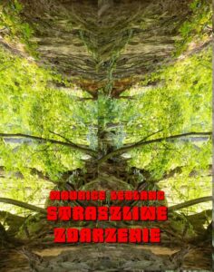 Okładka: Straszliwe zdarzenie. Powieść