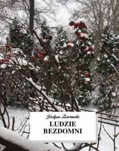 Okładka: Ludzie bezdomni