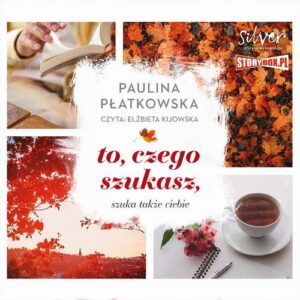 Okładka: To, czego szukasz, szuka także ciebie