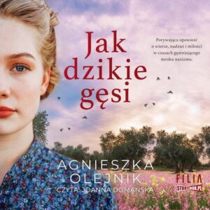 Okładka: Jak dzikie gęsi