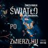 Okładka: Światło po zmierzchu