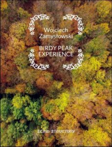 Okładka: Birdy peak experience
