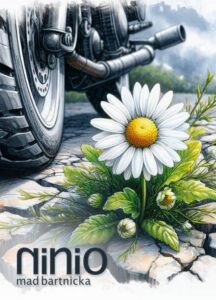 Okładka: Ninio