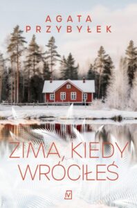 Okładka: Zima, kiedy wróciłeś