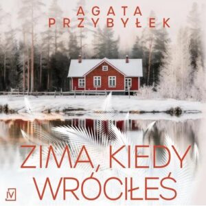 Okładka: Zima, kiedy wróciłeś