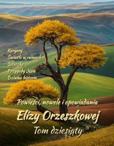 Okładka: Powieści, nowele i opowiadania Elizy Orzeszkowej. Tom X