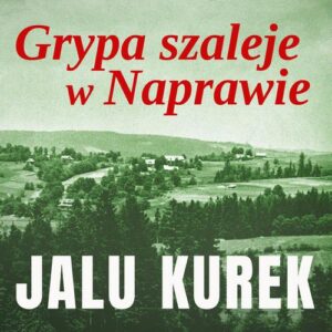 Okładka: Grypa szaleje w Naprawie